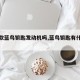 【新款蓝鸟钥匙发动机吗,蓝鸟钥匙有什么功能】