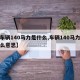 【车辆140马力是什么,车辆140马力是什么意思】