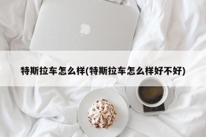 特斯拉车怎么样(特斯拉车怎么样好不好)