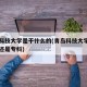青岛科技大学是干什么的(青岛科技大学属于本科还是专科)
