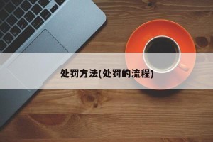 处罚方法(处罚的流程)