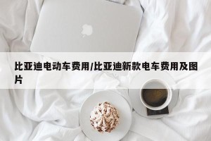 比亚迪电动车费用/比亚迪新款电车费用及图片