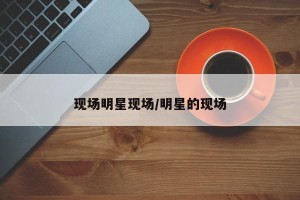现场明星现场/明星的现场