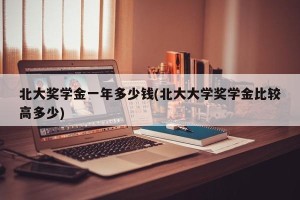 北大奖学金一年多少钱(北大大学奖学金比较高多少)