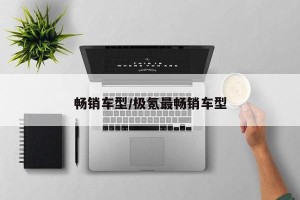 畅销车型/极氪最畅销车型