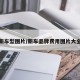 新车型图片/新车品牌费用图片大全