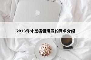 2023年才是疫情爆发的简单介绍