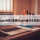 sgm车型(雪佛兰sgm是什么车型)