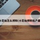 小花仙怎么授粉(小花仙授粉后产量)