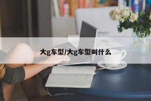 大g车型/大g车型叫什么