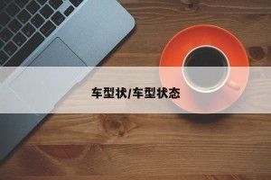 车型状/车型状态