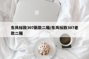 东风标致307新款二厢/东风标致307老款二厢