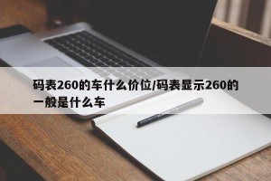 码表260的车什么价位/码表显示260的一般是什么车