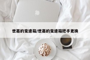 世嘉的变速箱/世嘉的变速箱把手更换