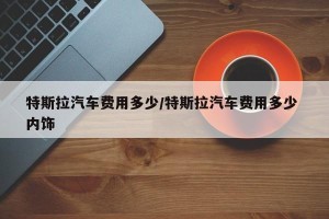 特斯拉汽车费用多少/特斯拉汽车费用多少 内饰